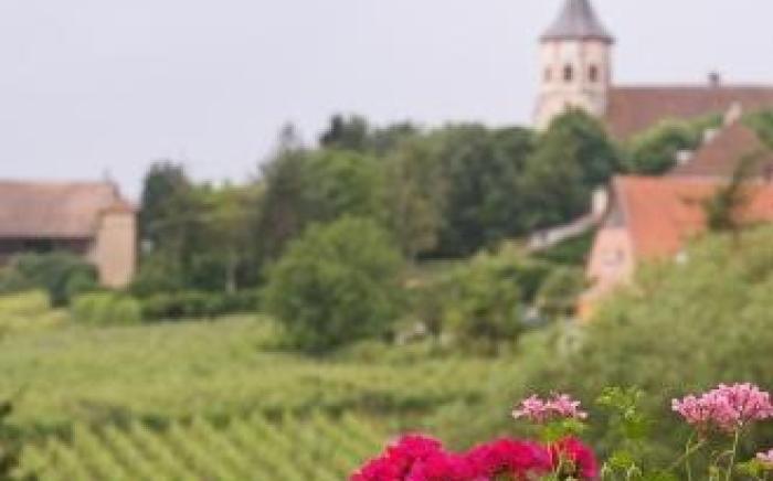 Hotel Restaurant Au Riesling