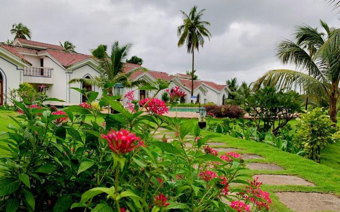 Heart full Home 1BHK Cozy Apartment 