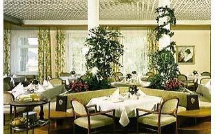 Hotel Alpina