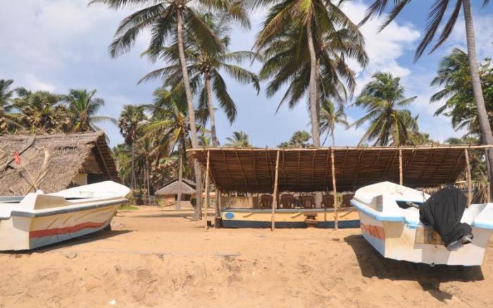 Dolphin Village