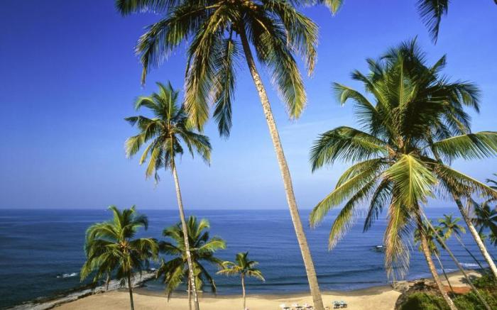 ibis Styles Goa Calangute Resort- An AccorHotels Brand