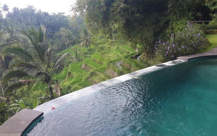 Wedang Villa