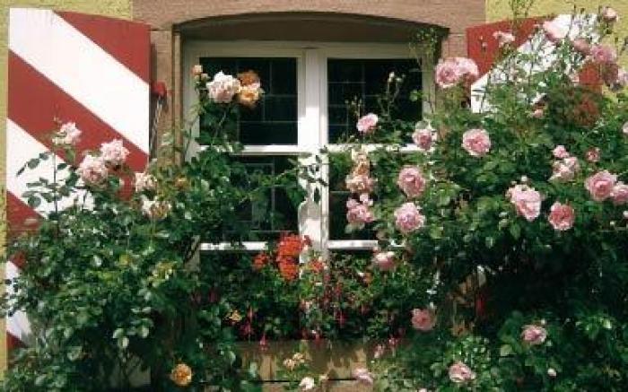 schlossmuhle - lean luxury boutique hotel