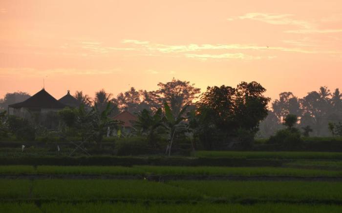 Devi's Place Ubud