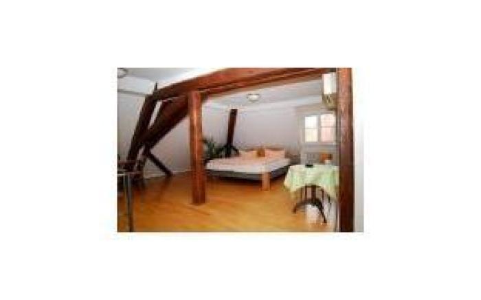 Hotel Goldener Falke