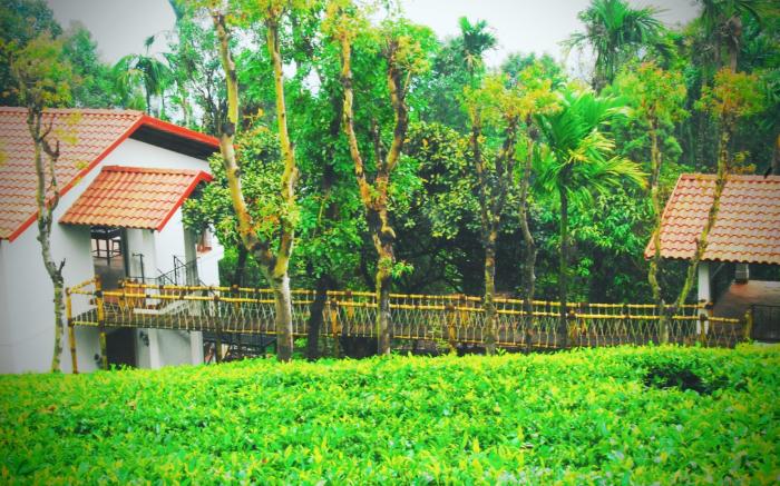 Tea Terrace Vythiri Resort