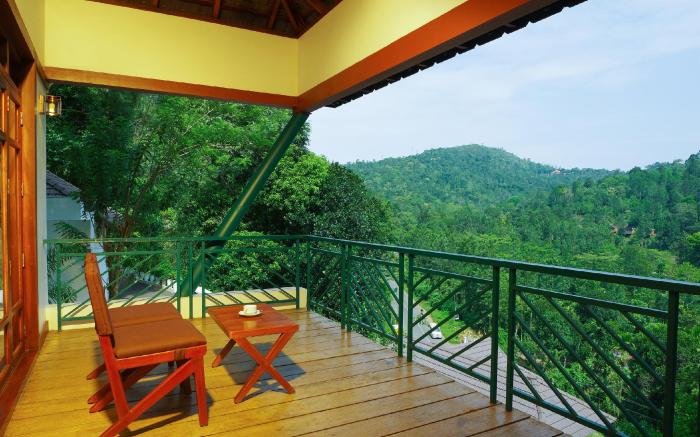 Forest Canopy Resort