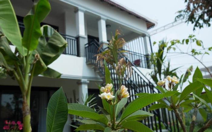 Dream Butterfly Garden Boutique Villa