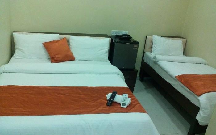 Hotel Ascot Neo (A K Palace)