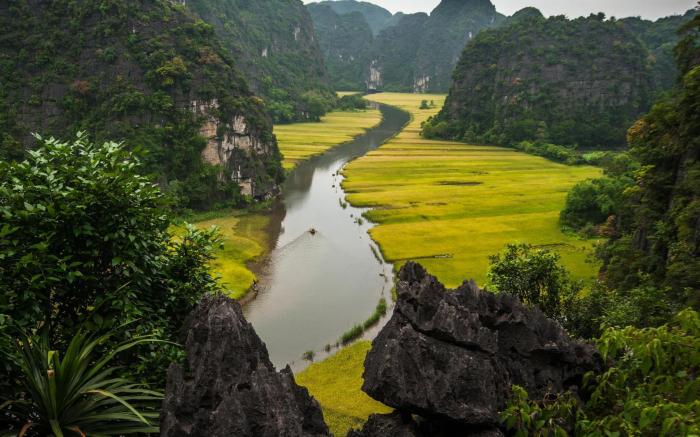 Van Long Family Homestay