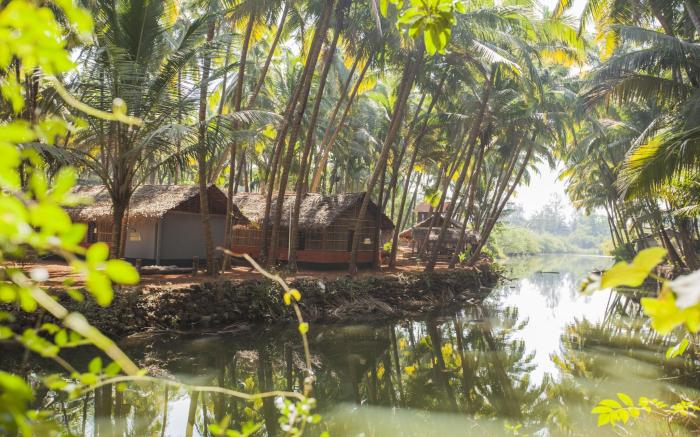 The Palm Trees Ayurvedic Resort Patnem