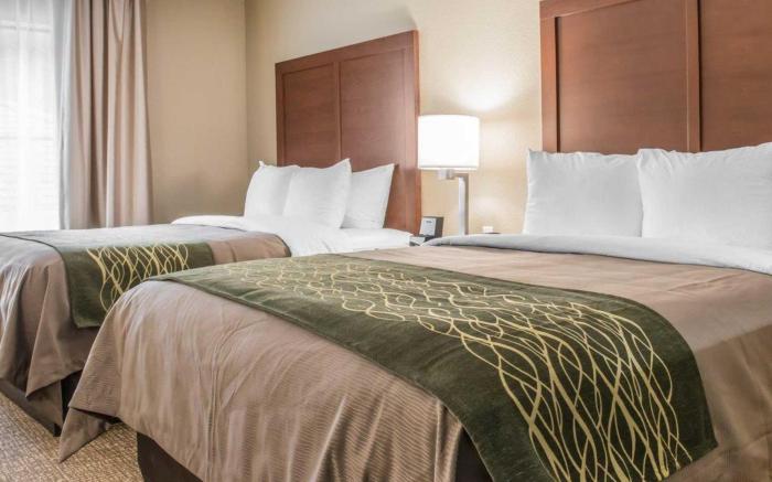 Comfort Inn & Suites