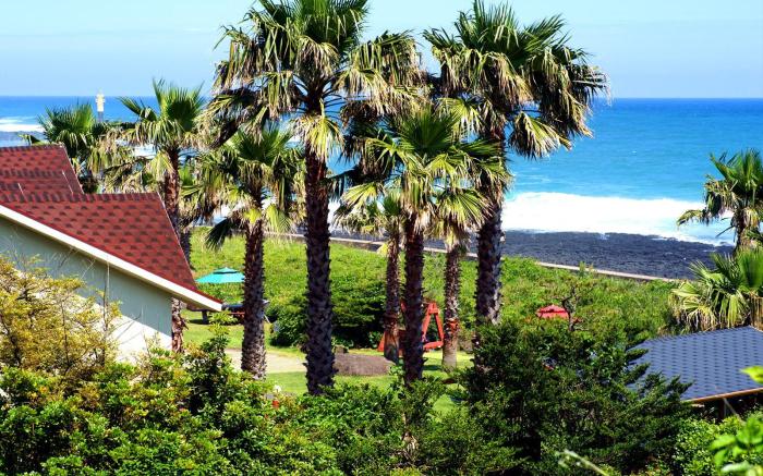 Jeju Oldman Sea Pension