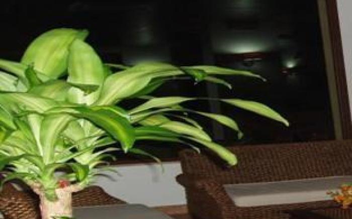Residence Hotel Antica Perla