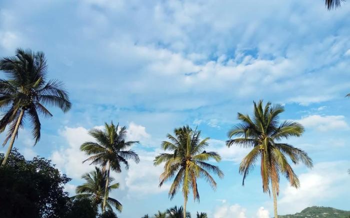 Brizo Hotel and Mountain View Resort