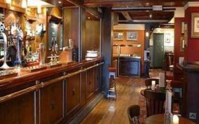 Dog House by Chef & Brewer Collection