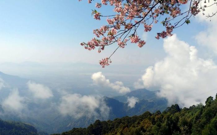 Syamantac Villa Kodaikanal