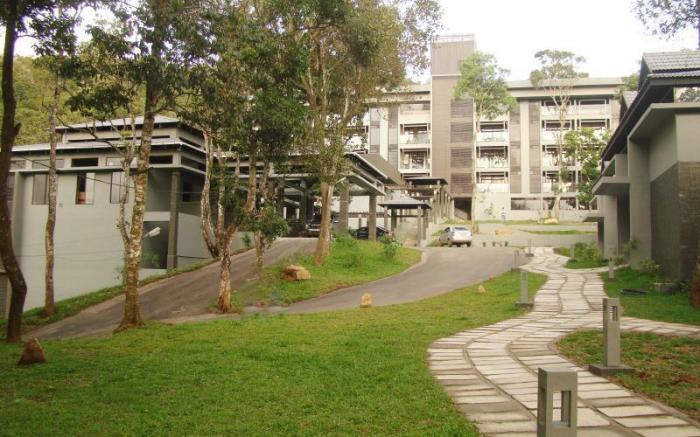 The Mountain Courtyard