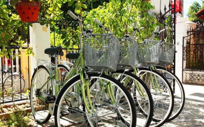 Sunny Garden Homestay