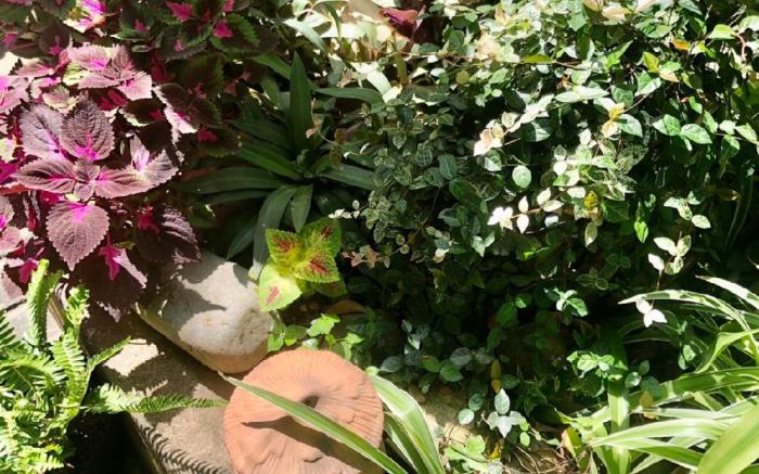 Sunny Garden Homestay