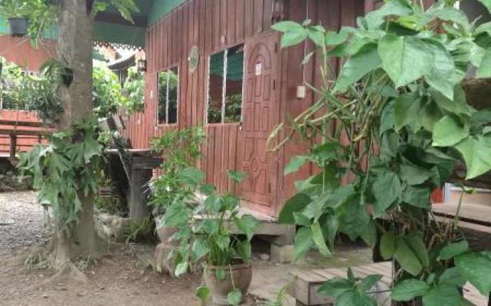 Evergreen Guesthouse