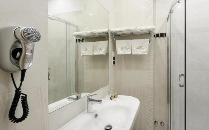 Hotel Apis