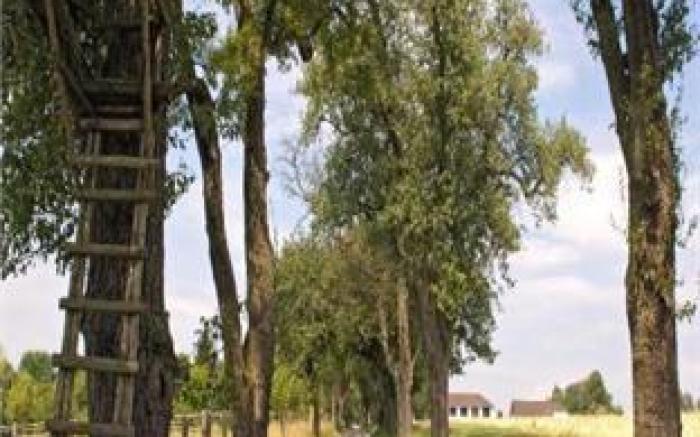 Landhotel Gafringwirt