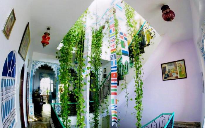 Bunkyard Backpackers Hostel