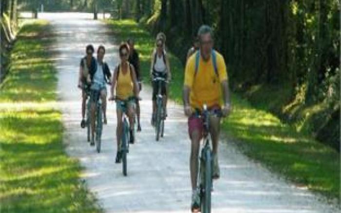 Logis Hotel Restaurant Du Lion D'argent Et Des Tanneries