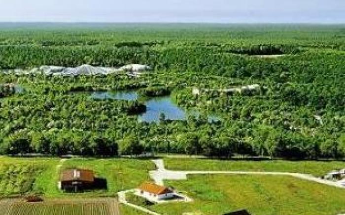 Center Parcs Bispinger Luneburger Heide