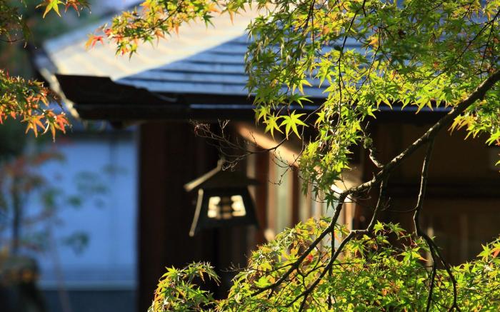 Aoi Suites at Nanzenji Modern & Traditional Japanese Style