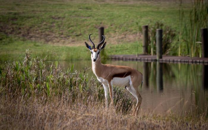 Kwetu Guest Farm