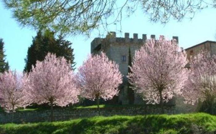 Castel Pietraio