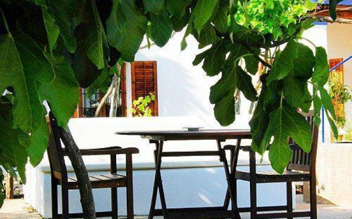 Agroturismo Sa Vinya d'en Palerm