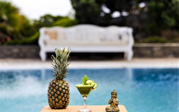 Manu Mykonos Superb Villa 5 Bedrooms 12 Guests