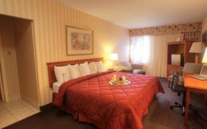 Quality Inn Toronto Airport