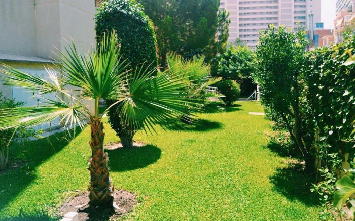 San Juan Alicante Beach Holiday Apartment