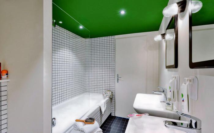 ibis Styles Lyon Meyzieu Arena Stadium