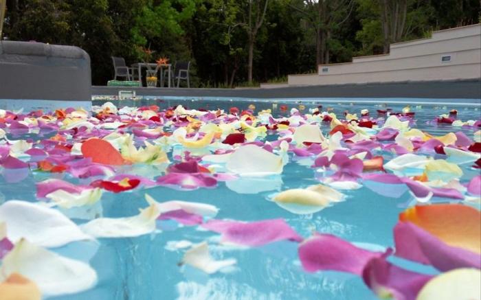 Stannards Guest Lodge