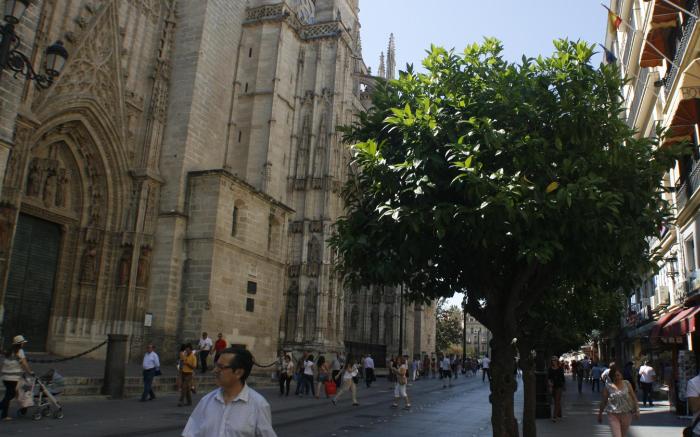 Catedral Boutique
