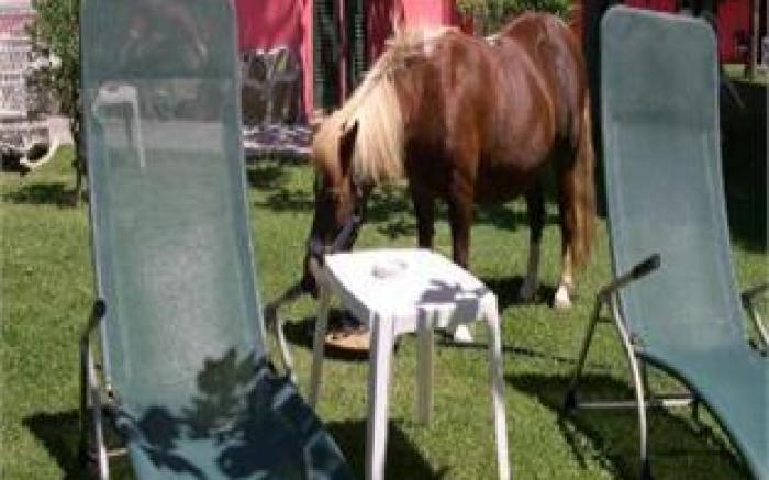 Locanda le Mandriane