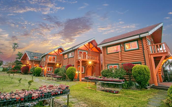 Seogwipo Neulbada Pet Pension
