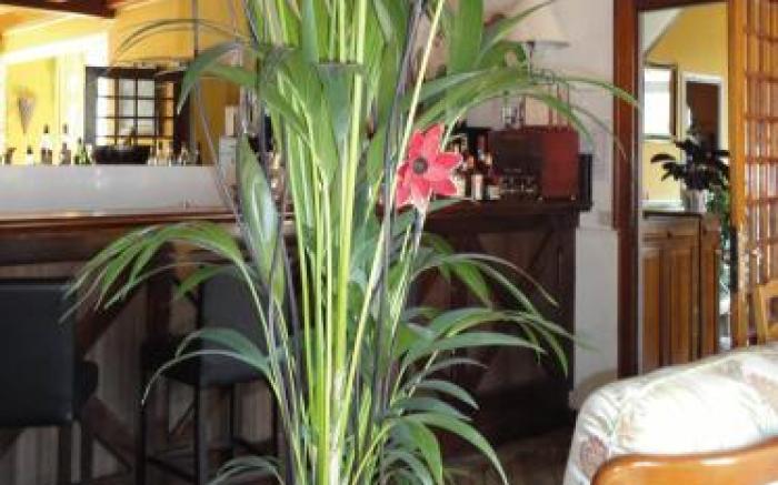 Logis Hotel La Breche - Restaurant Berthelot