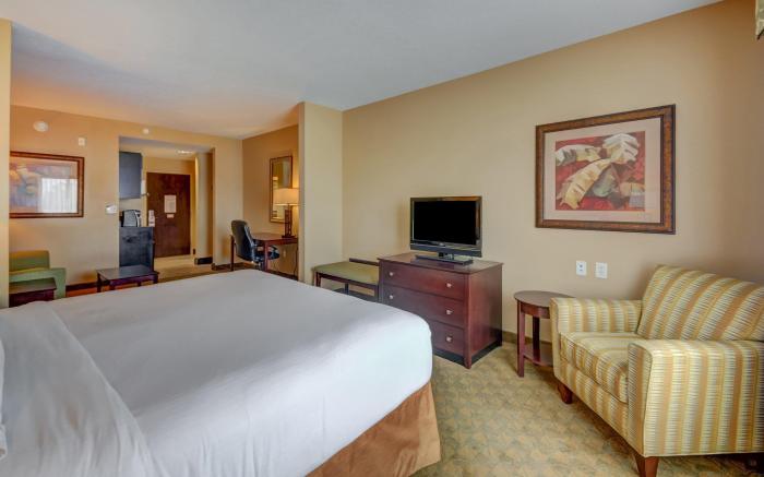 Holiday Inn Express Hotel & Suites Tampa-USF-Busch Gardens By IHG