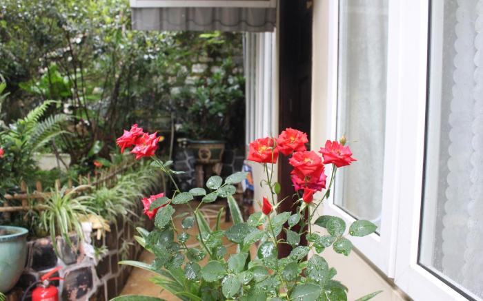 Homestay VuonTung (Pine Garden)