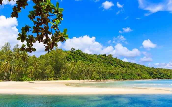 Captain Hook Resort