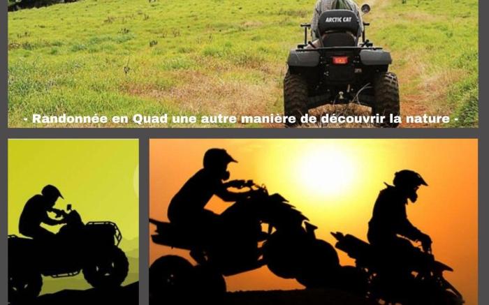 Voyage au cœur d’étampes