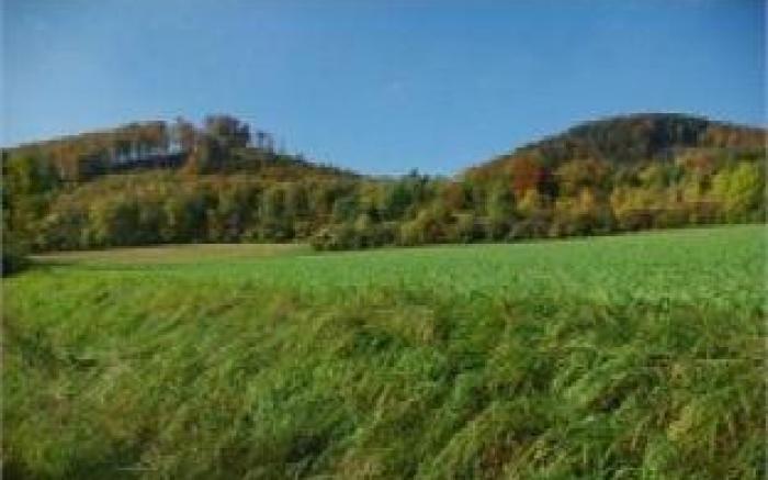 Land-gut-Hotel Rauber Lippoldskrug