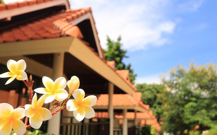 Aquavana Haad Rin Resort