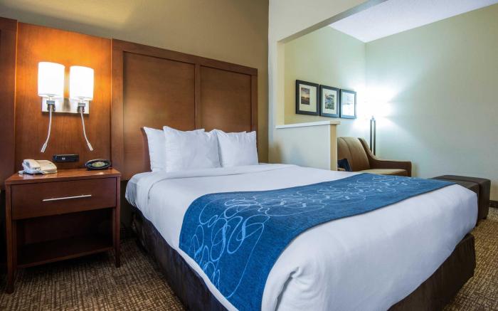 Comfort Suites Rochester Henrietta University Area